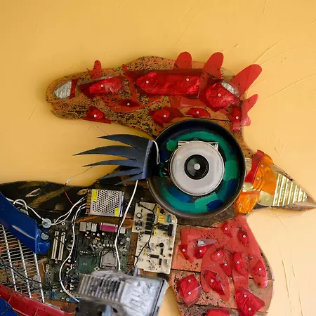 Rooster Otel