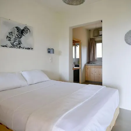 Hotel Rooster 3*