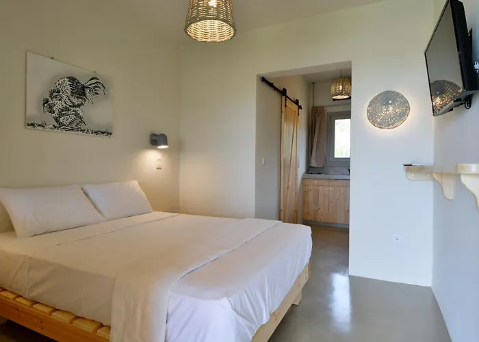 Rooster 3* Kipri (Andros)